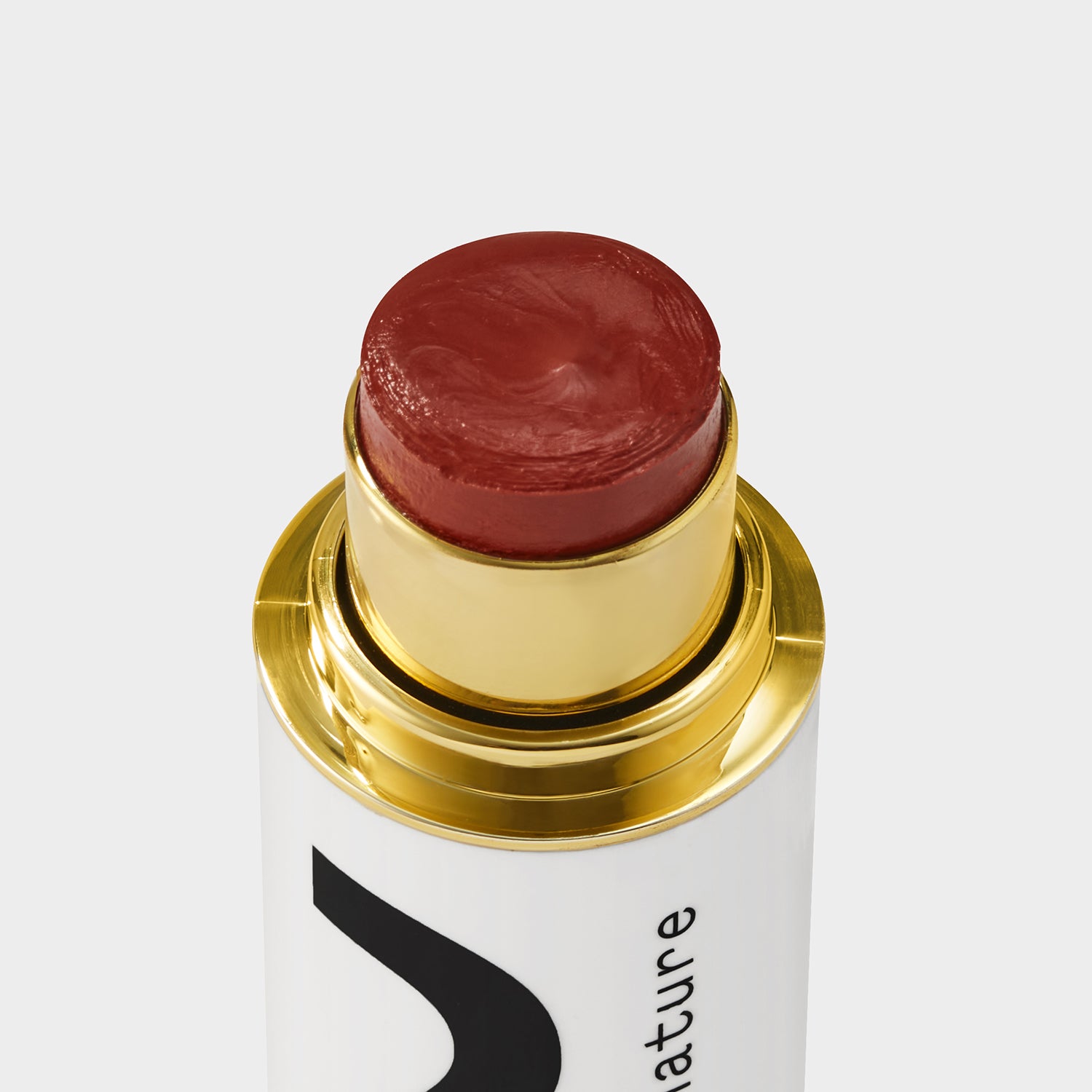 Selfie Stick Rhiannon