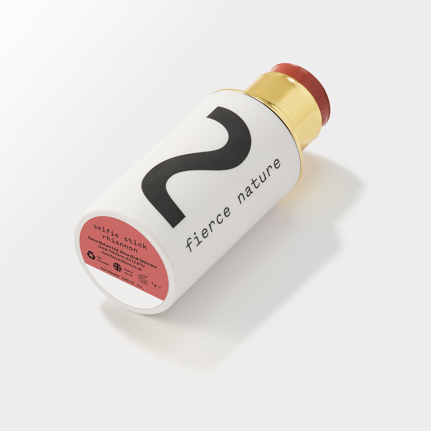 Selfie Stick Rhiannon